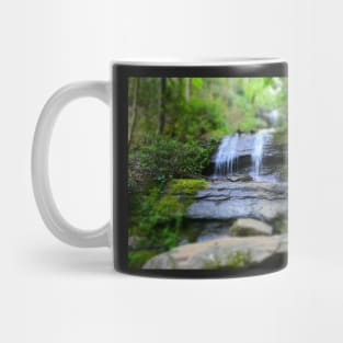 Desoto Falls (Lumpkin County Georgia) Mug